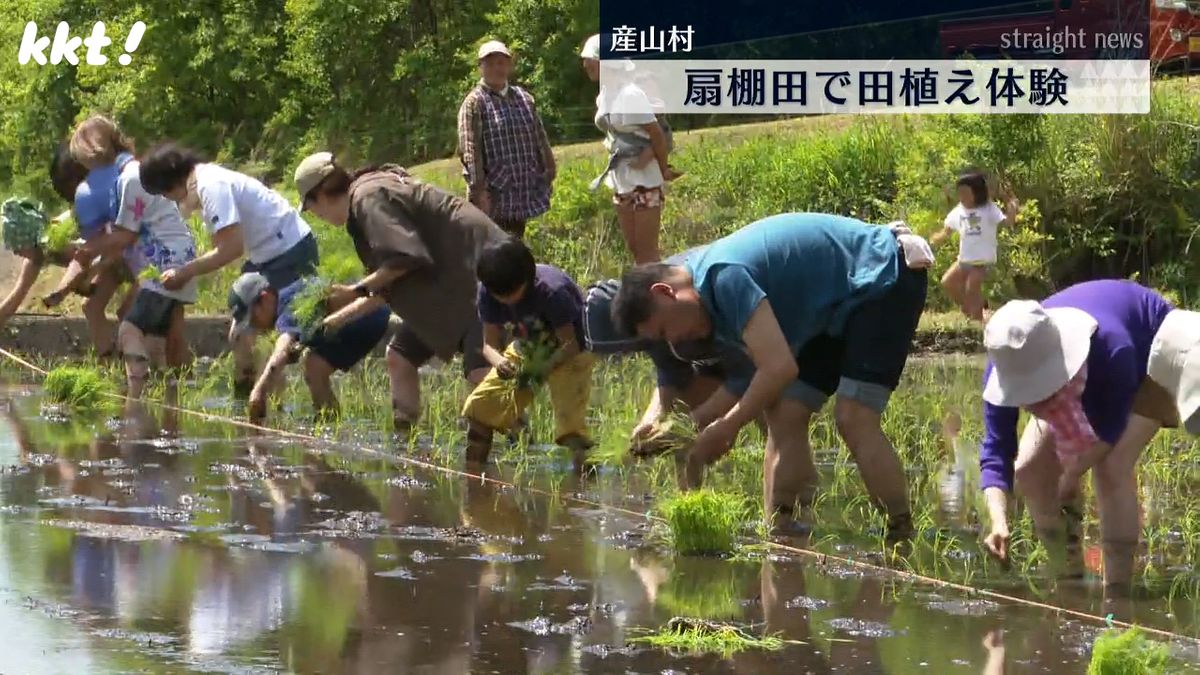 国の重要文化的景観「扇棚田」で田植え体験イベント　熊本・産山村