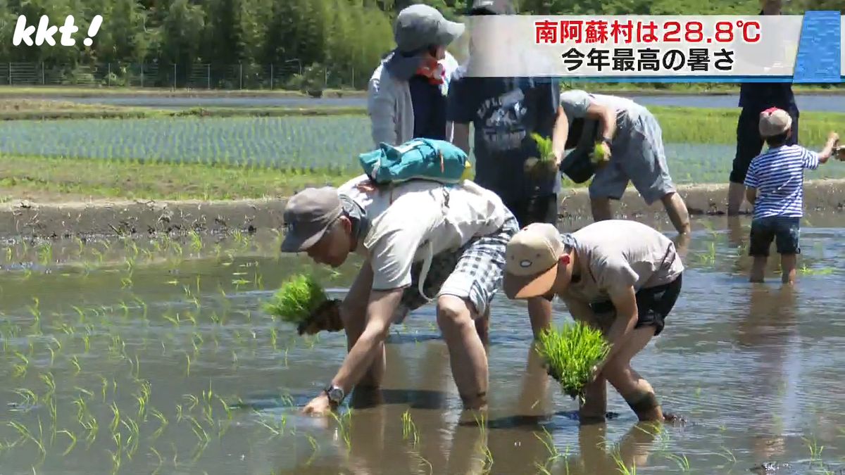 南阿蘇村の田植え体験会