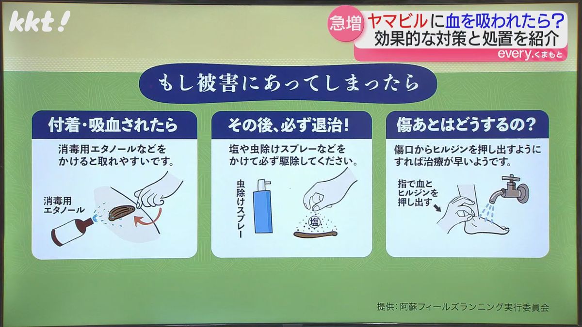 ヤマビル被害にあった時の対策