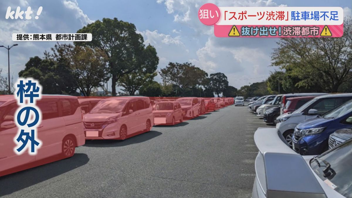 枠の外に駐車するケースも(提供:熊本県都市計画課)