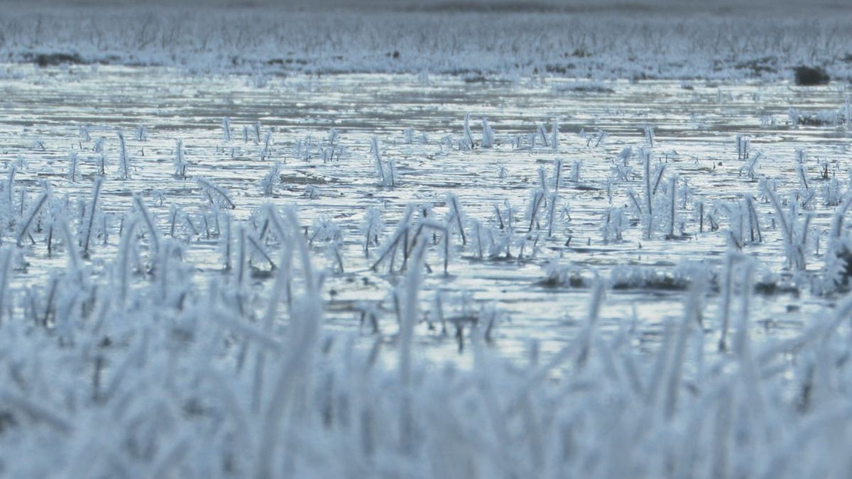 草千里では池の表面に氷が