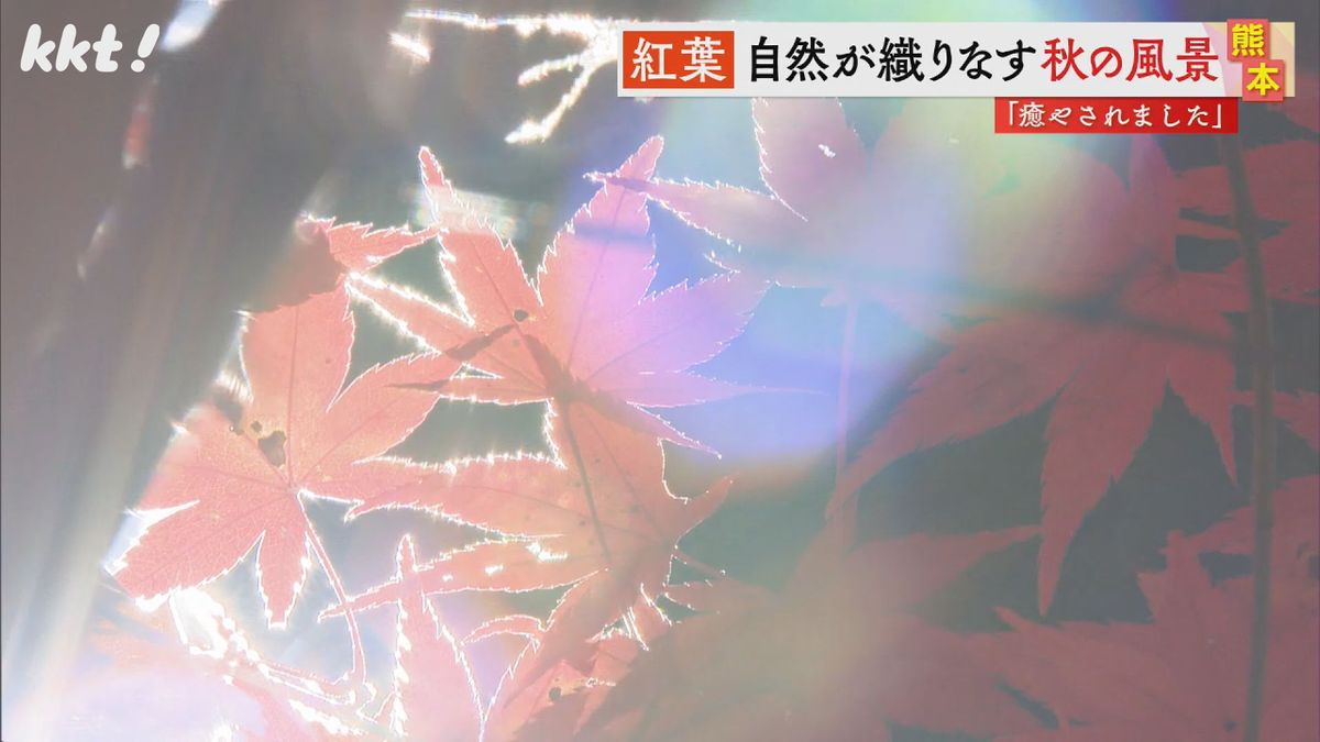 【画像で見る】映像企画･見ごろを迎えた熊本の紅葉名所