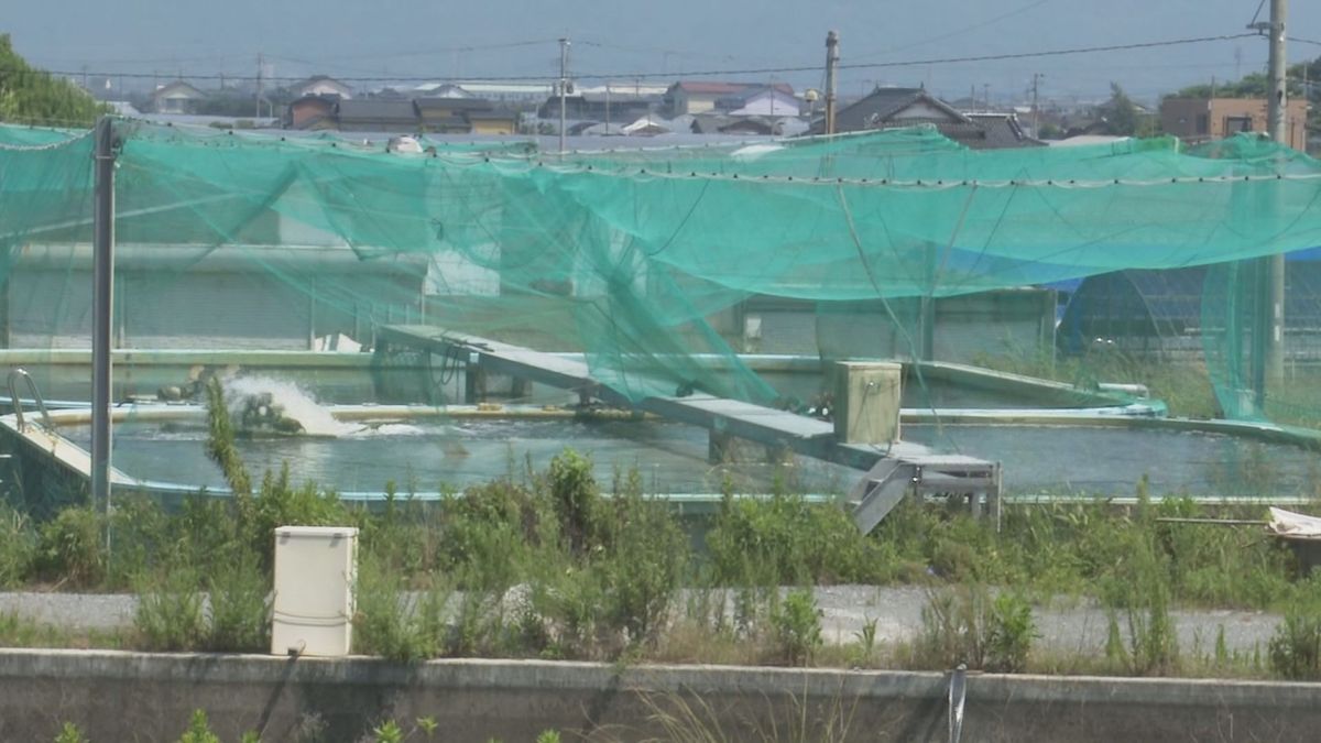 熊本県の補助金7800万円不正受給疑いで養殖業の男逮捕 県が経緯を説明