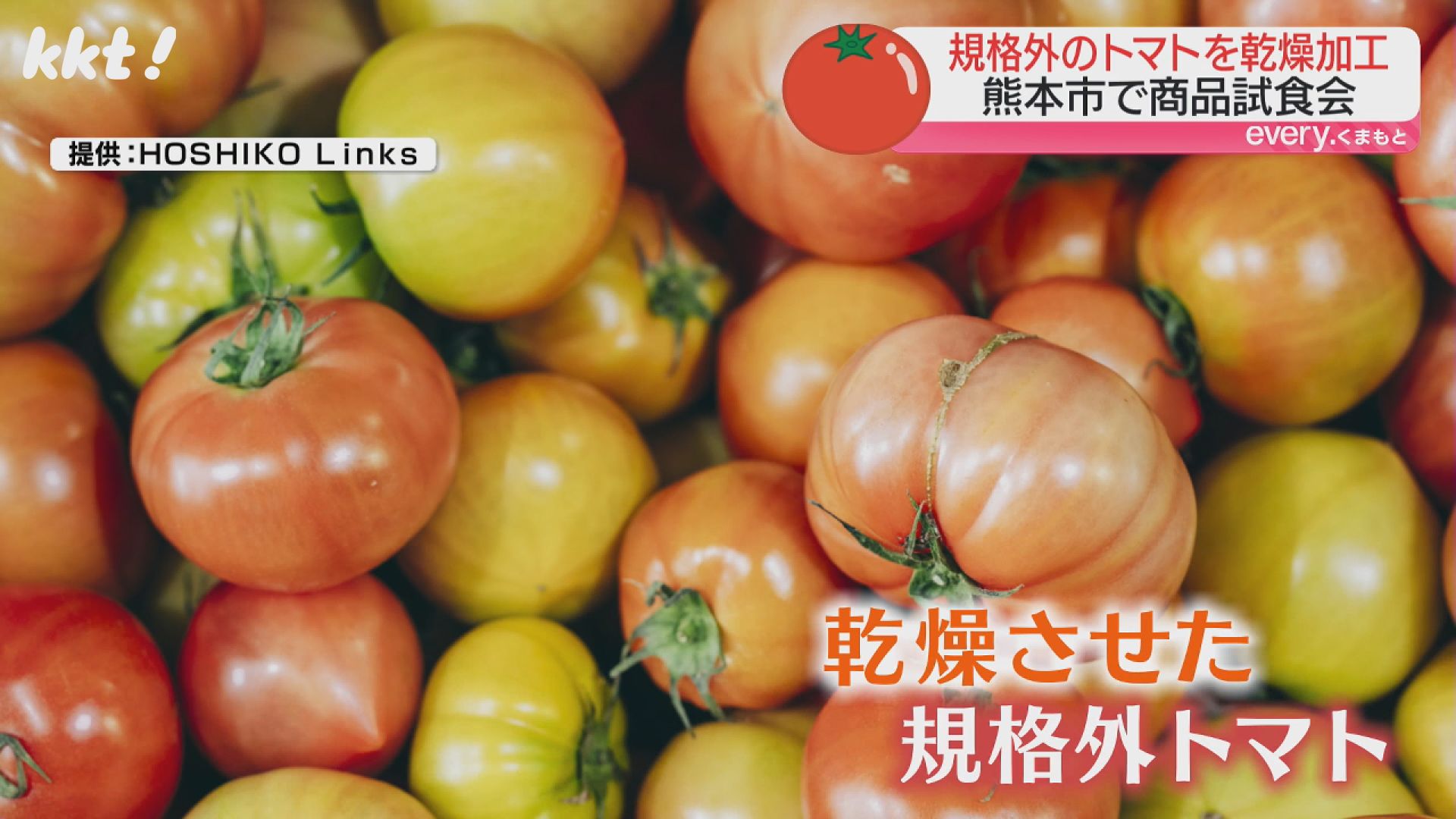 味はドライじゃない!乾燥させた規格外トマト商品 OMO5熊本で販売開始