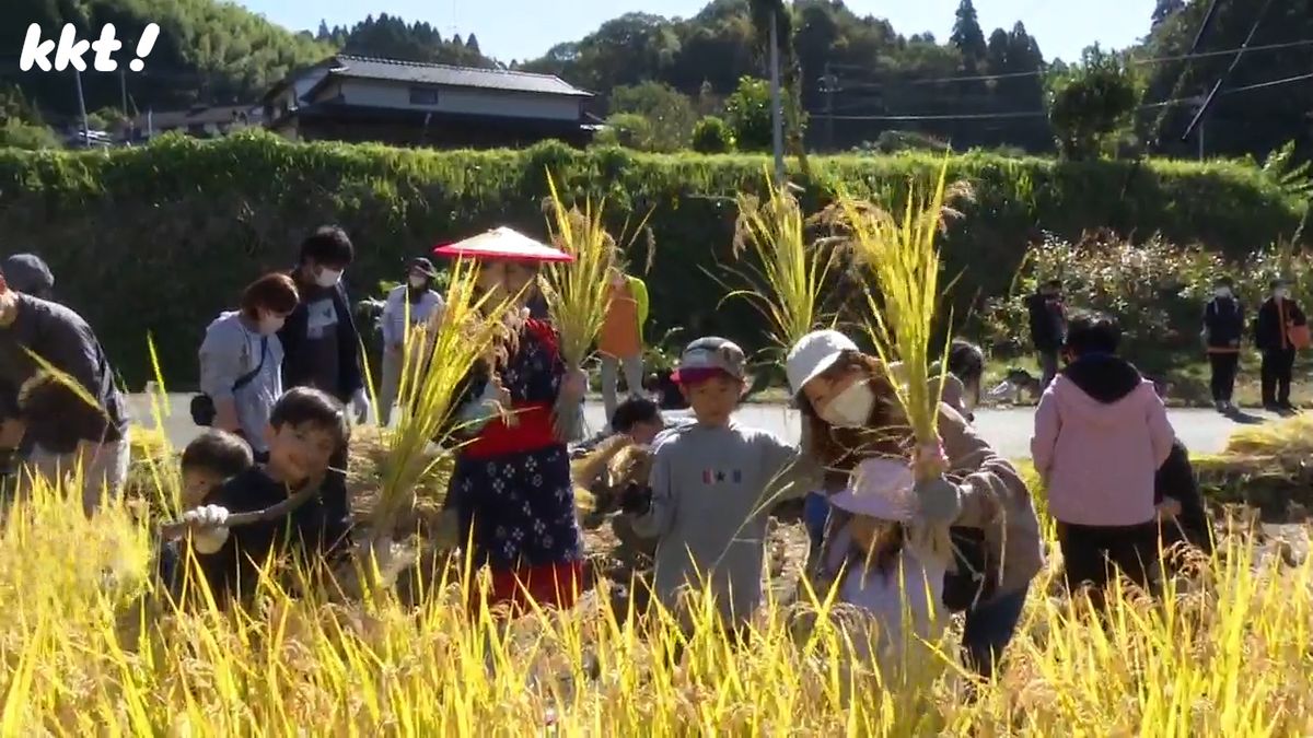 「自然と食の大切さ学んで」山都町で親子稲刈り体験 収獲米は病院での食事へ