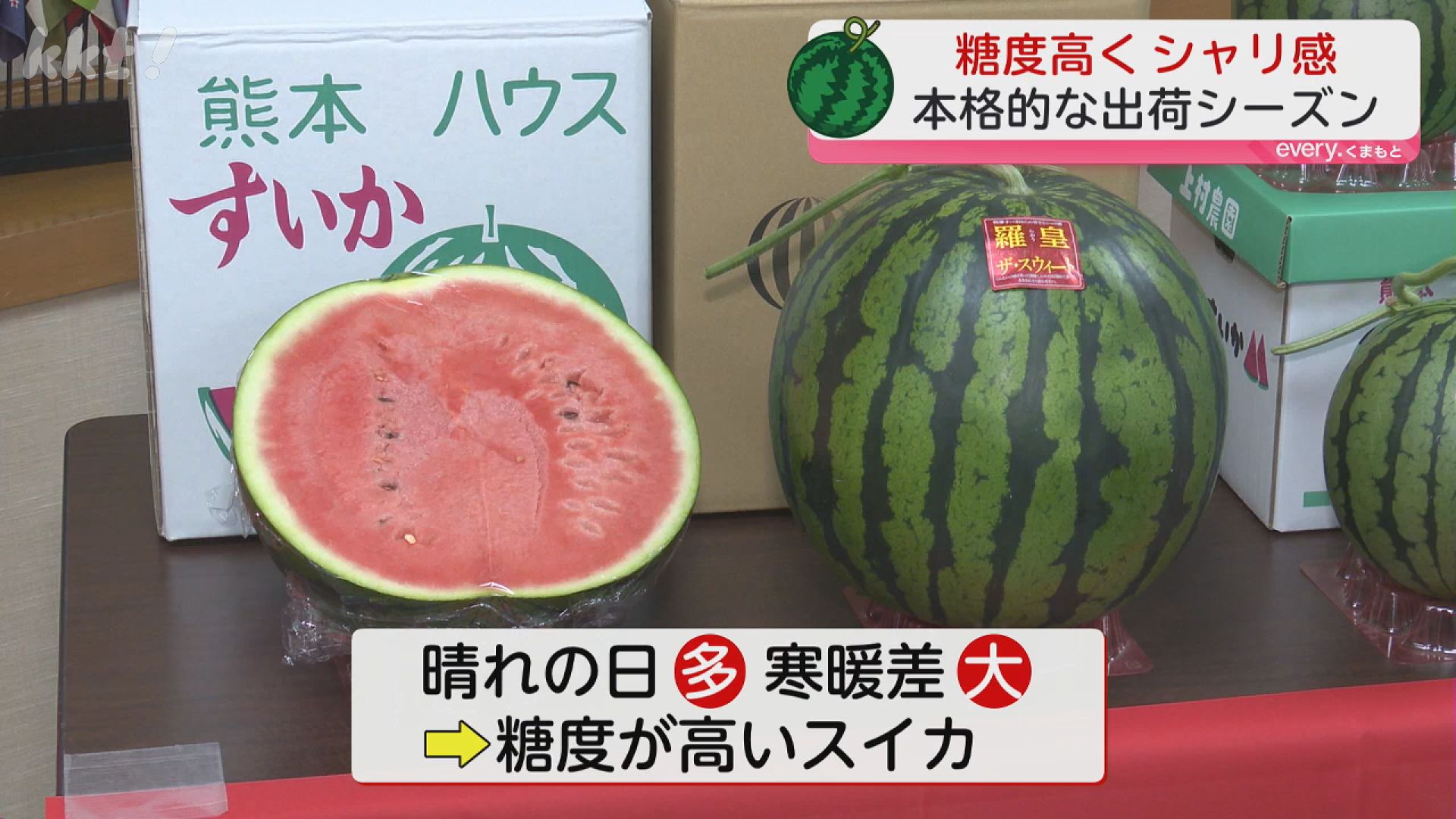 シャリシャリうまいっす」熊本市長も満悦の熊本スイカ 今年は糖度が