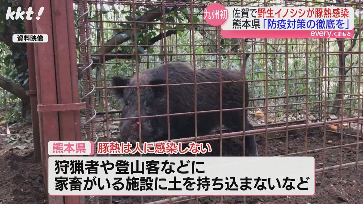 佐賀で野生イノシシ｢豚熱｣確認 熊本県が緊急対策会議 県内の豚への感染確認なし