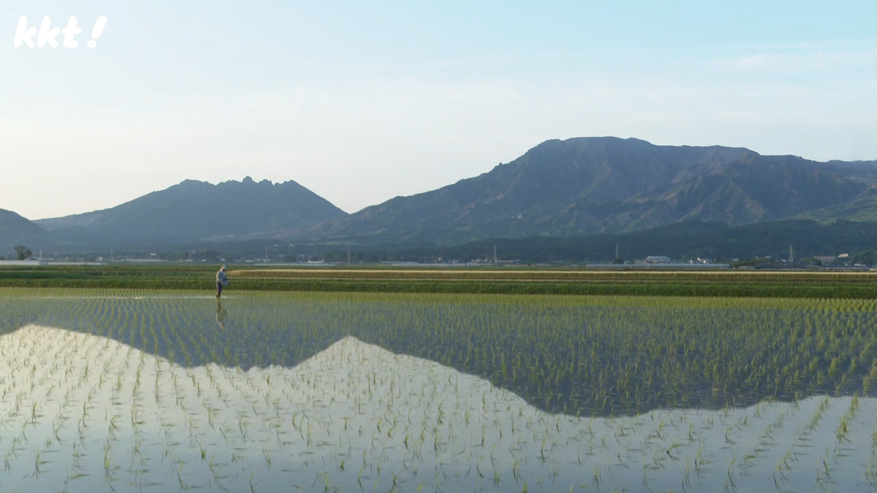 レア映像】この時期しか見られない｢逆さ涅槃像｣鏡のような水田に阿蘇五岳くっきり（2024年5月9日掲載）｜KKT NEWS NNN