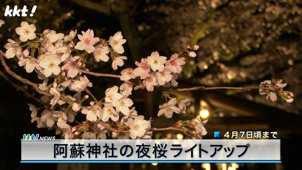夜桜ライトアップで7年8か月ぶりの阿蘇神社楼門も幻想的