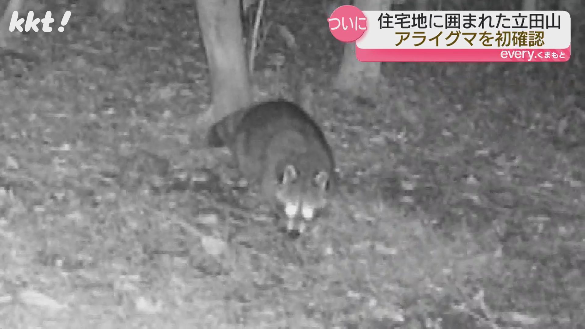 ついに来たか】住宅地に囲まれた