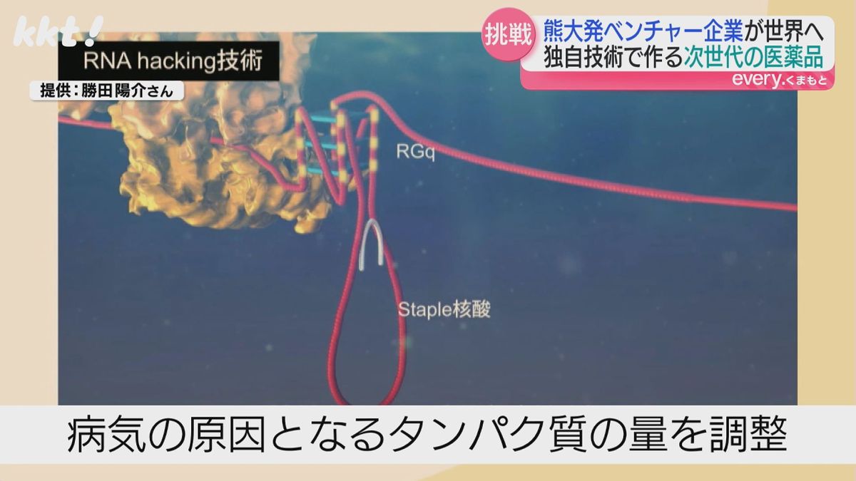 世界初の技術｢Staple核酸｣を利用して次世代の医薬品開発を目指す