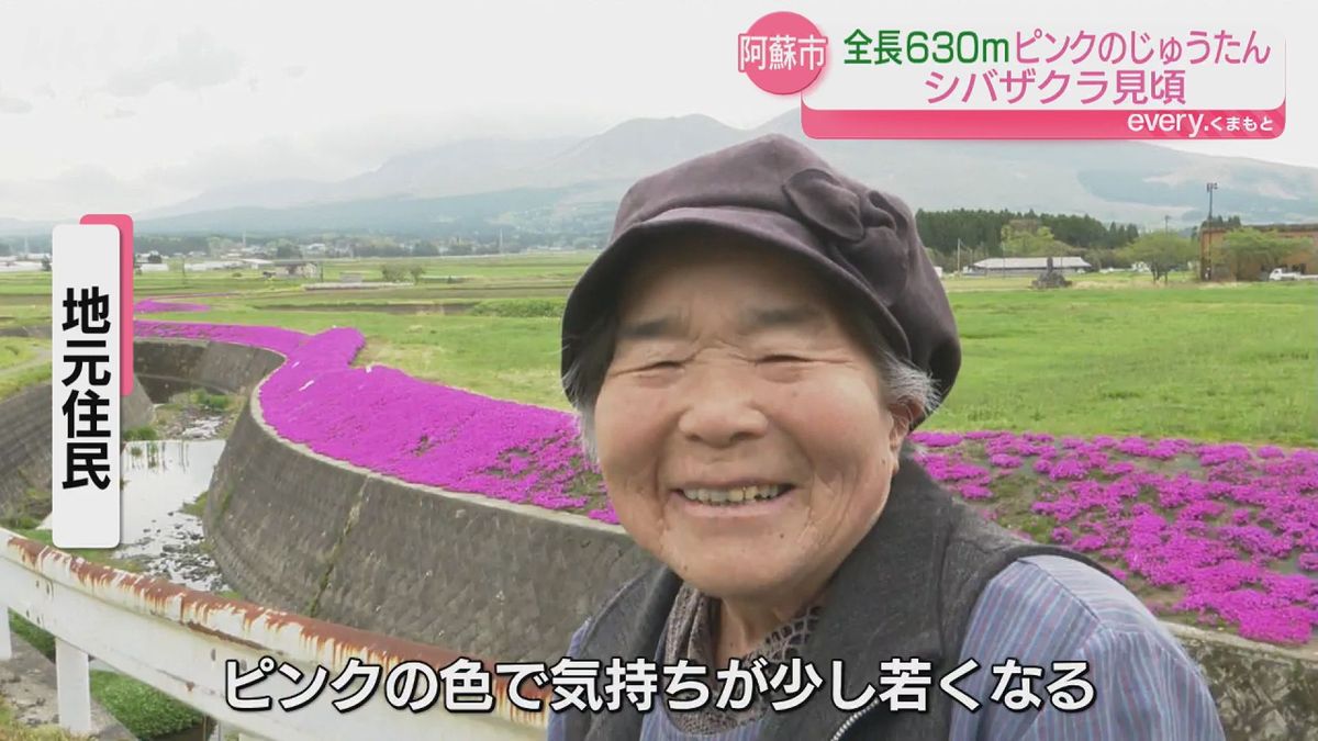 地元の住民