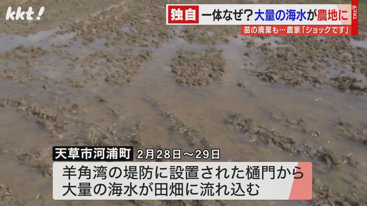 大量の海水が田畑に流れ込んだ