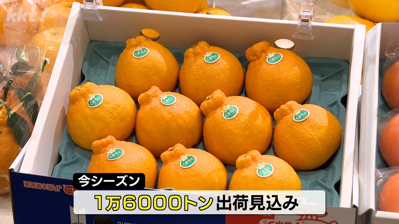 デコポンや甘夏など中晩柑の出荷協議会 今季は1万6000トンの出荷見込む