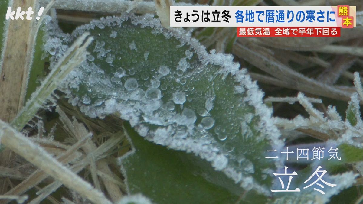 ｢秋がなくて夏と冬という感じ｣夏日が続いた熊本も立冬は暦通りの寒い朝