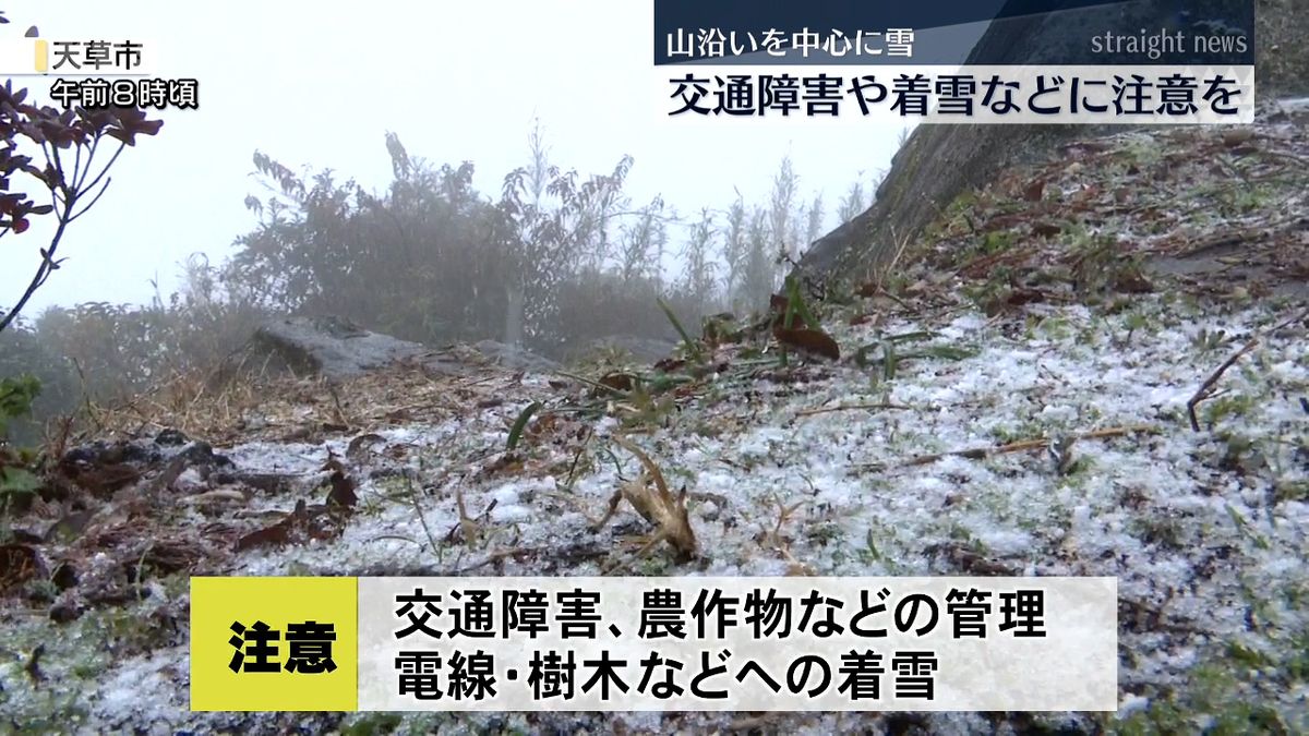 倉岳山頂付近(天草市･26日午前8時頃)