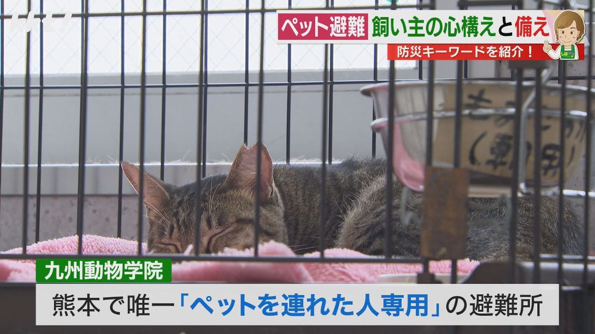 九州動物病院はペットを連れた人専用の避難所
