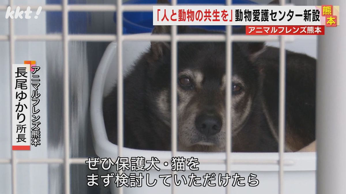 保護犬のドッグランも設置 熊本県の新動物愛護センター｢アニマルフレンズ熊本｣完成