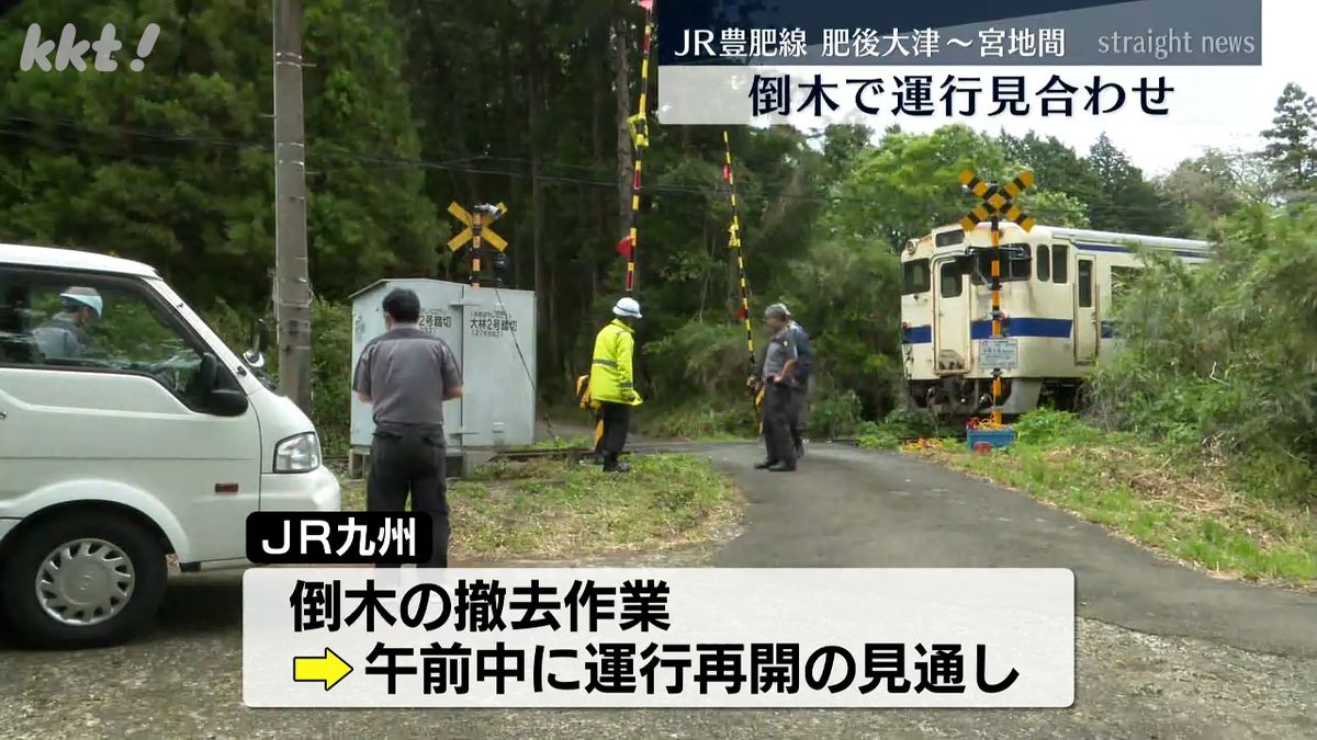 JR豊肥線 倒木のため肥後大津～宮地間で運行見合わせ