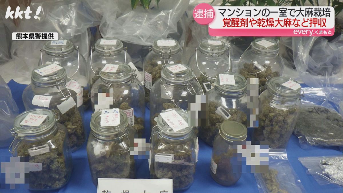 押収した乾燥大麻(熊本県警提供)