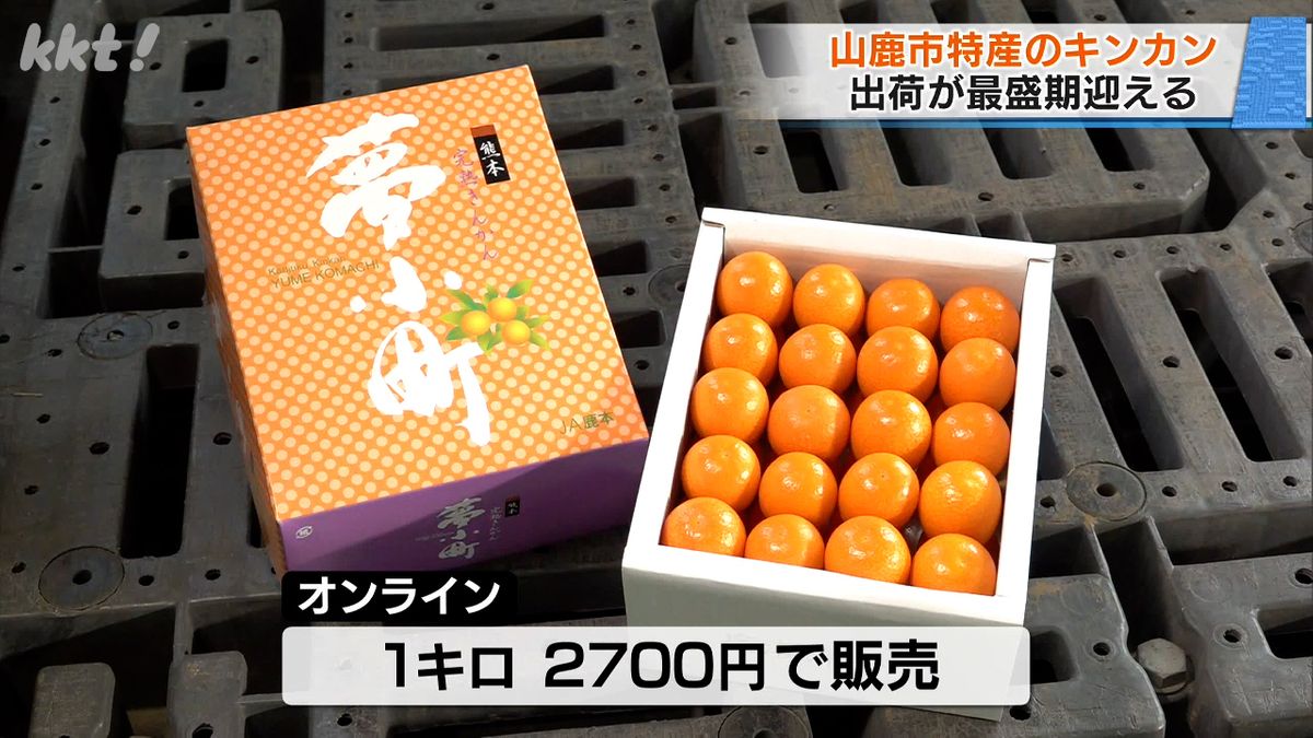 オンラインでも販売