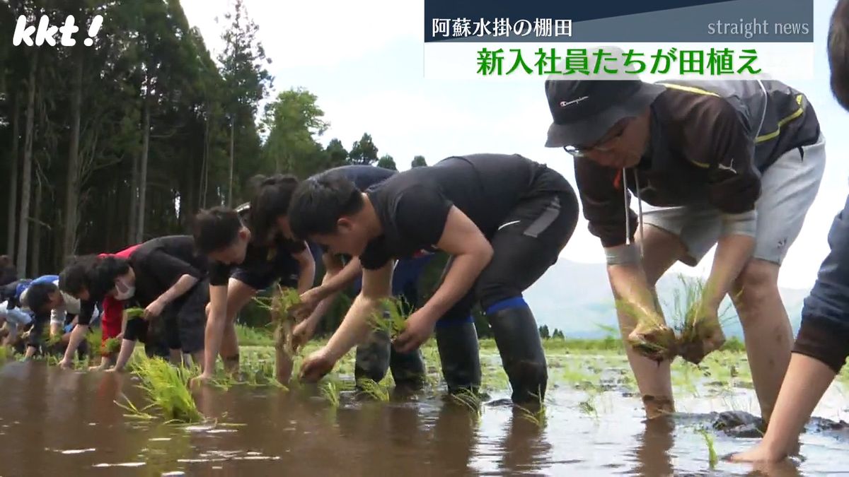 阿蘇の棚田で新入社員たちが田植え