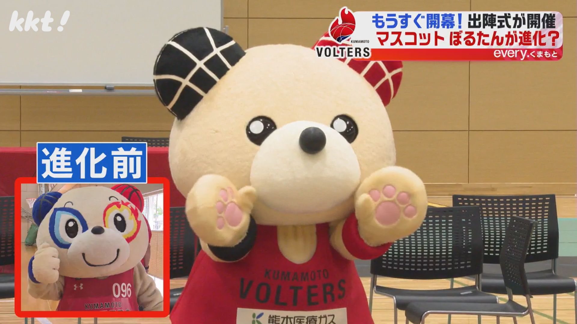 とらぼるたんページ 熊本ヴォルターズのマスコットキャラ「ぼるたん」が進化した姿を