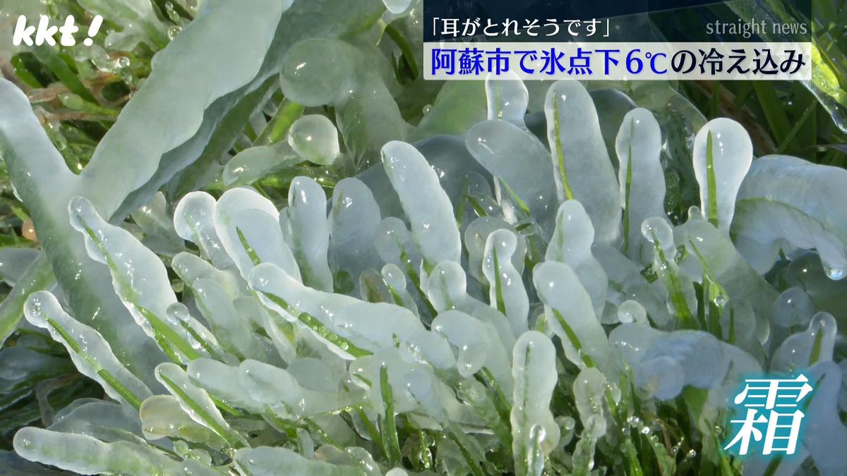 ｢耳がとれそうです｣阿蘇市で氷点下6.0℃ 熊本市も氷点下で初霜と初氷を観測
