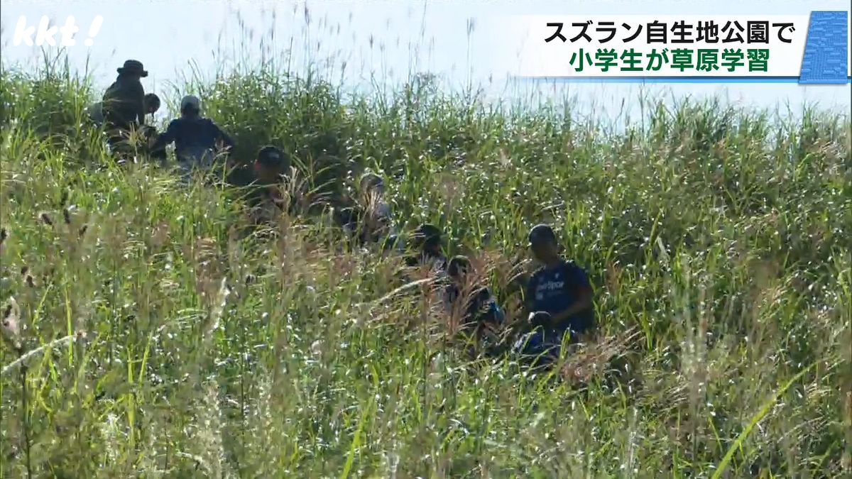 植物観察をする小学生たち(27日･阿蘇市波野)