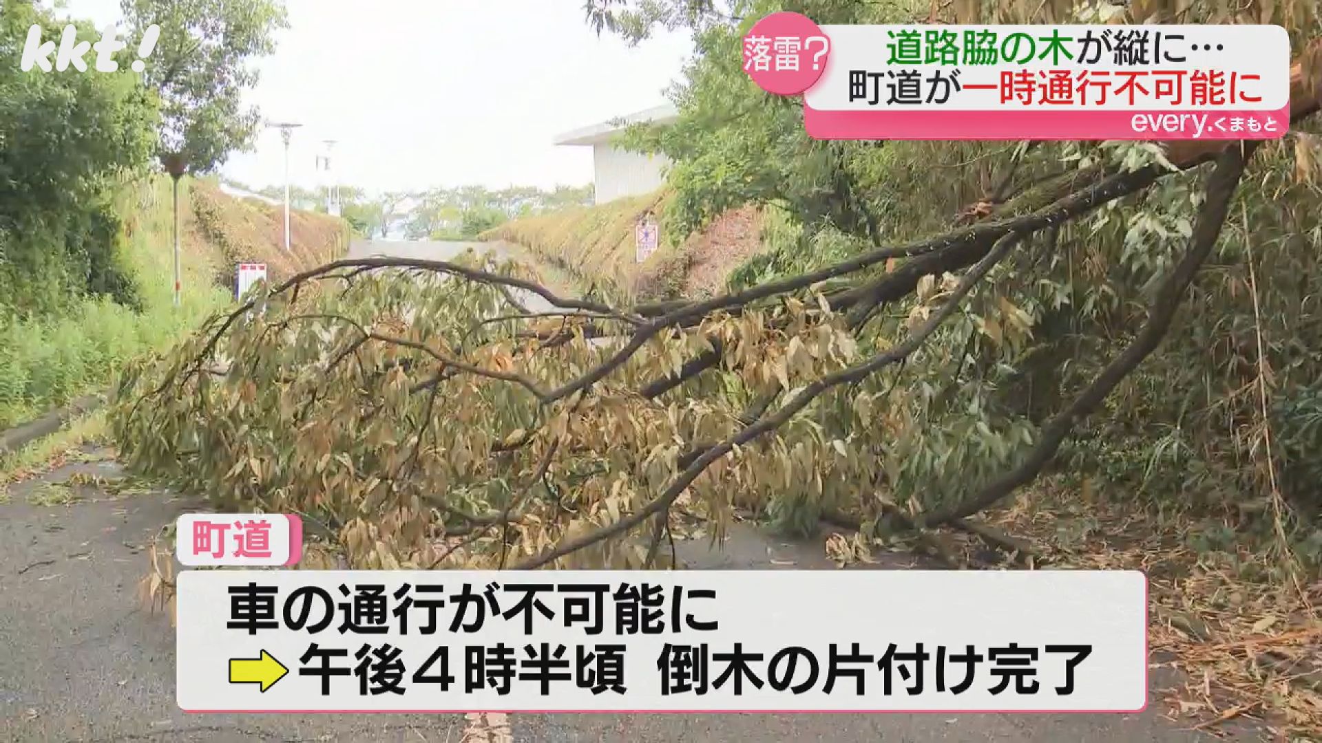 道路脇の木に落雷？益城町の道路が倒木で通行不可能に（2025年8月3日