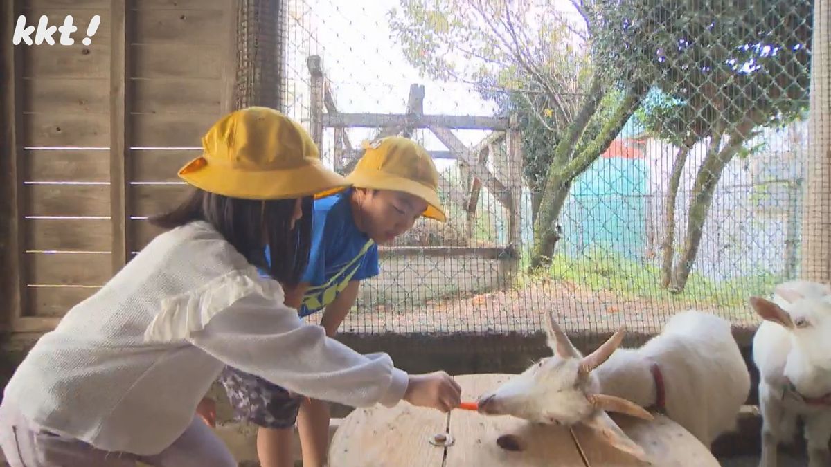 平日の朝と昼の世話は主に1年生が担当