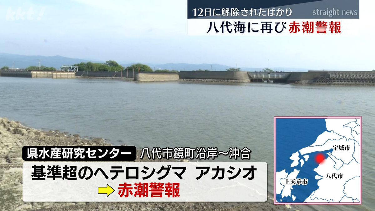 八代市鏡町(14日)