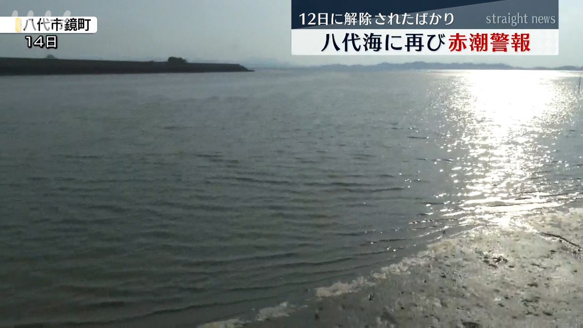 八代海に再び赤潮警報 12日に解除されたばかり