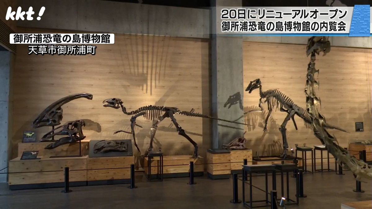 日本最大級肉食恐竜の歯の化石も ｢御所浦恐竜の島博物館｣地元住民向け内覧会