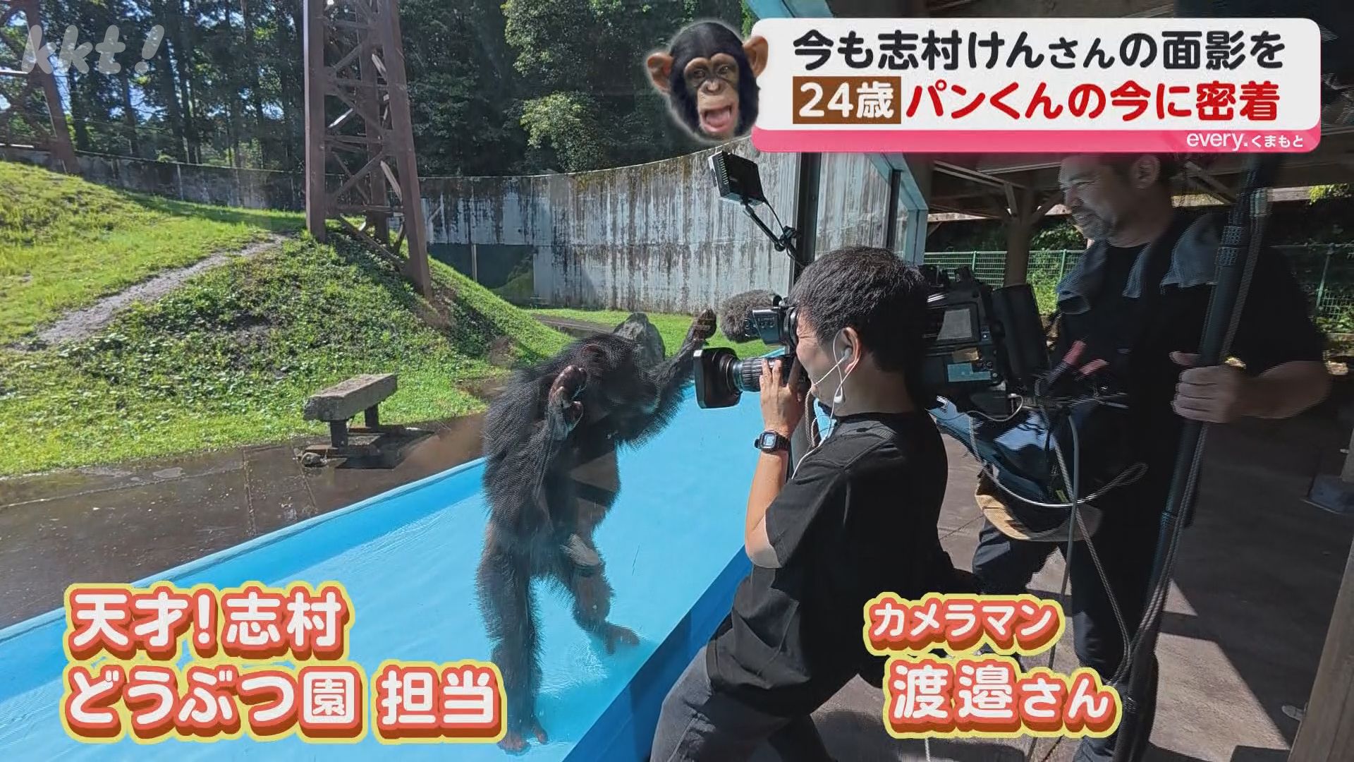 人気番組に出演していた天才チンパンジー「パンくん」は今…当時の