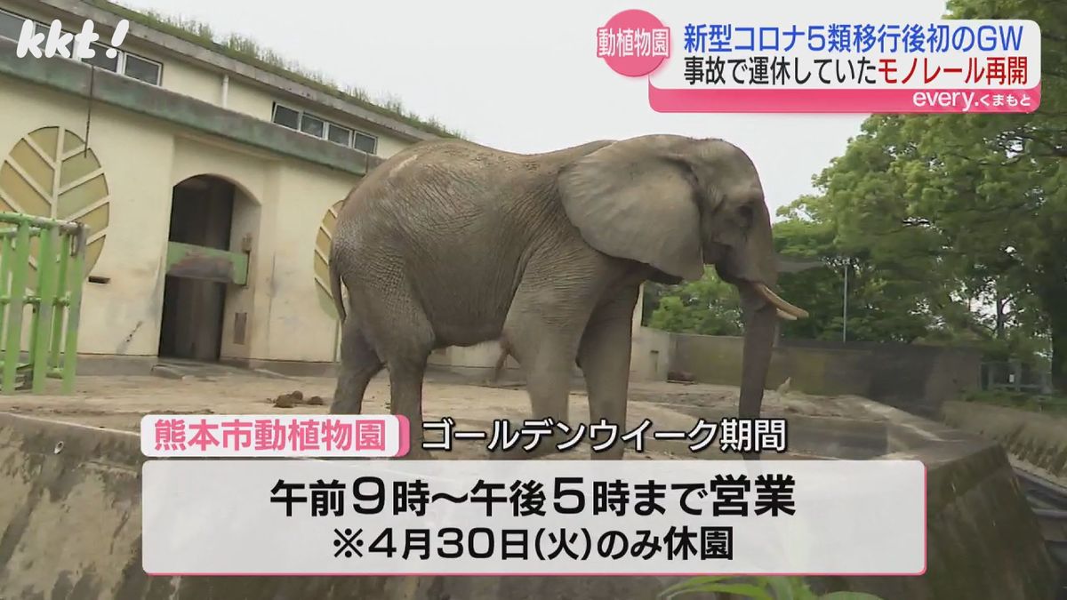 熊本市動植物園は通常通り午前9時～午後5時まで営業(4月30日は休園)
