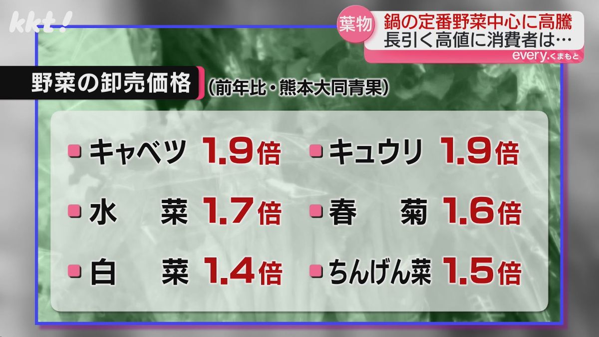 前年比の卸売価格はキャベツが1.9倍など