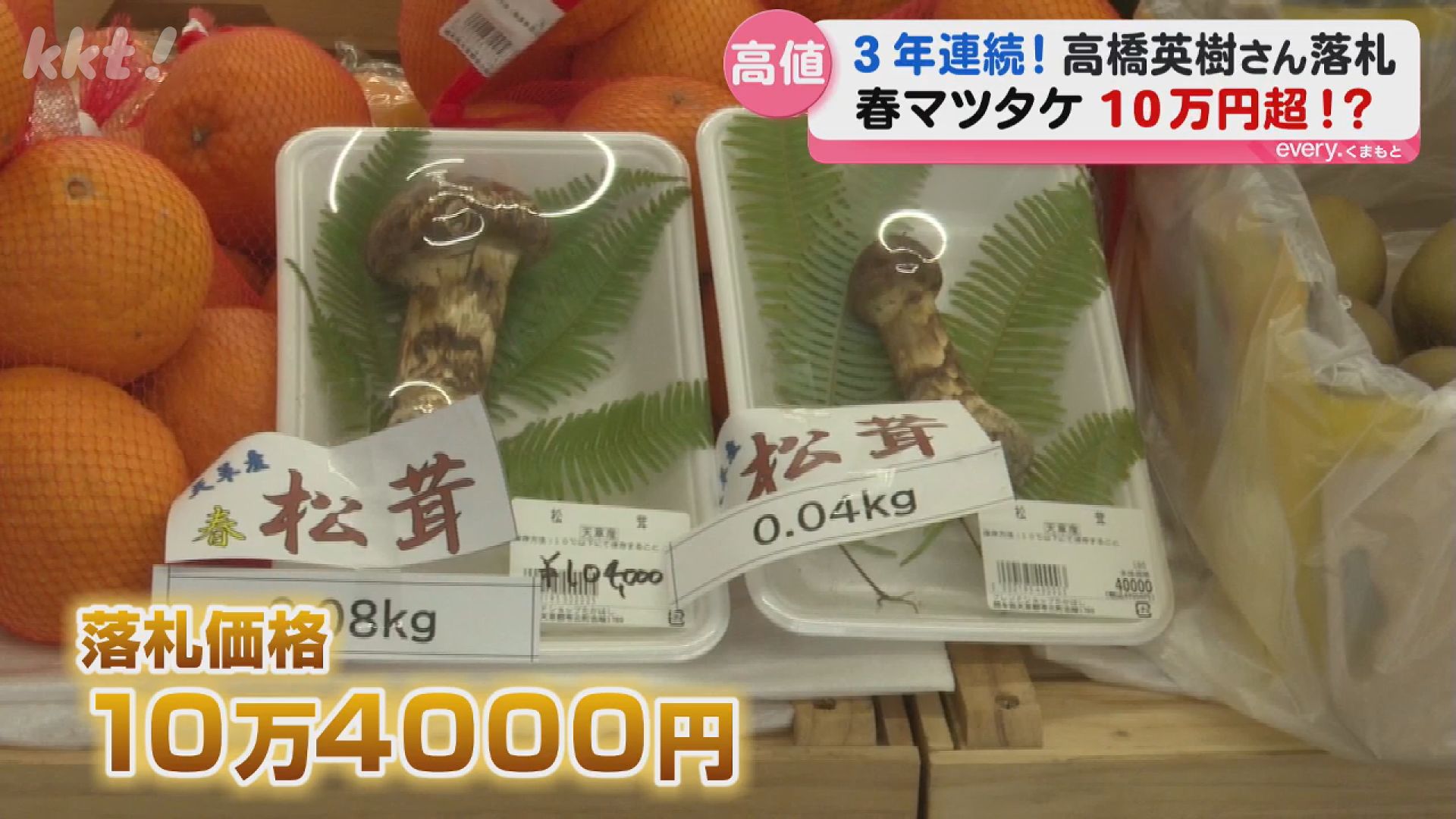 マツタケの競りで「100万円！」天草の春の風物詩 今年も高値落札（2026