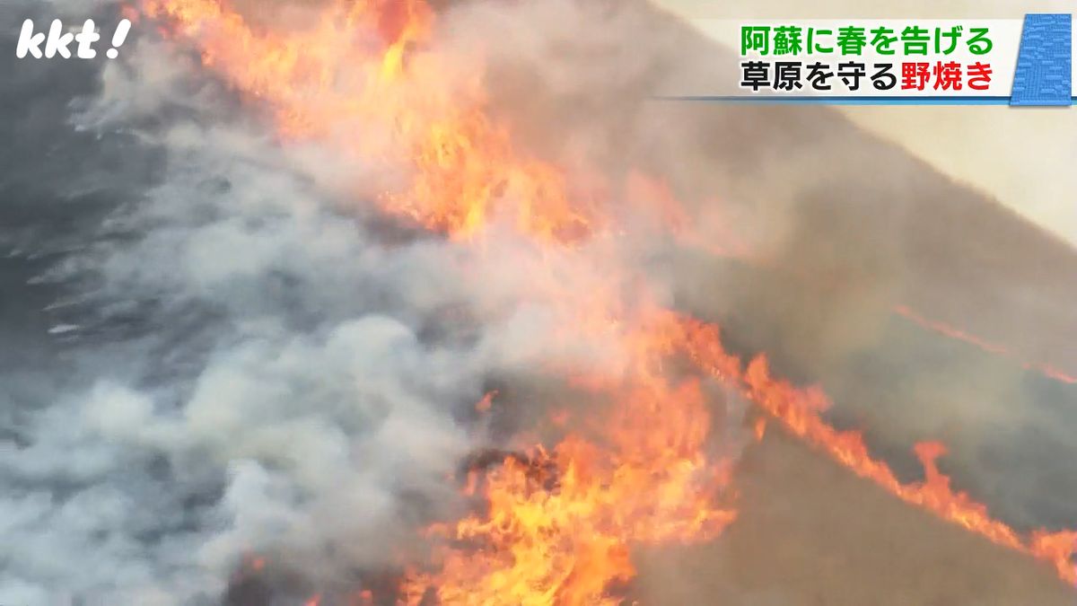 斜面を駆け上がる真っ赤な炎 春の訪れ告げる阿蘇の野焼き