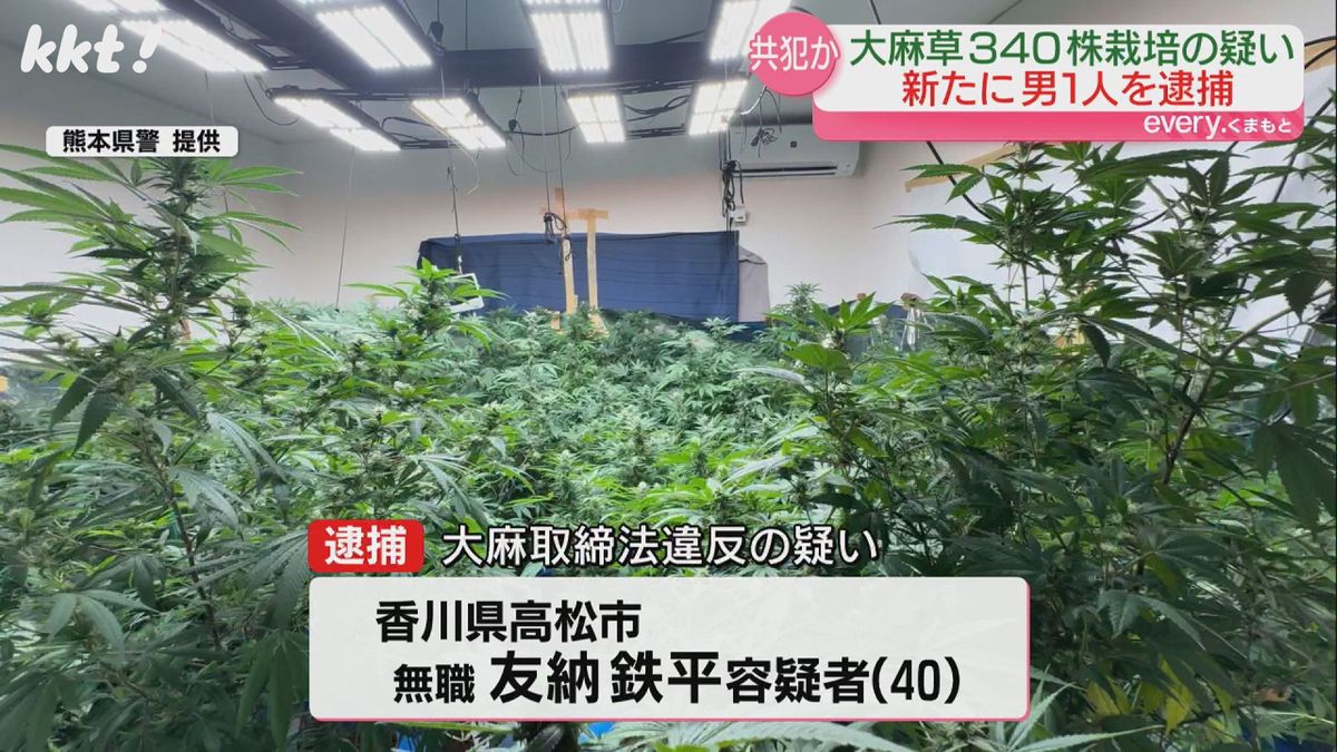 住宅で大麻草340株を栽培した疑い 住宅を借りる契約した男を共犯者として逮捕