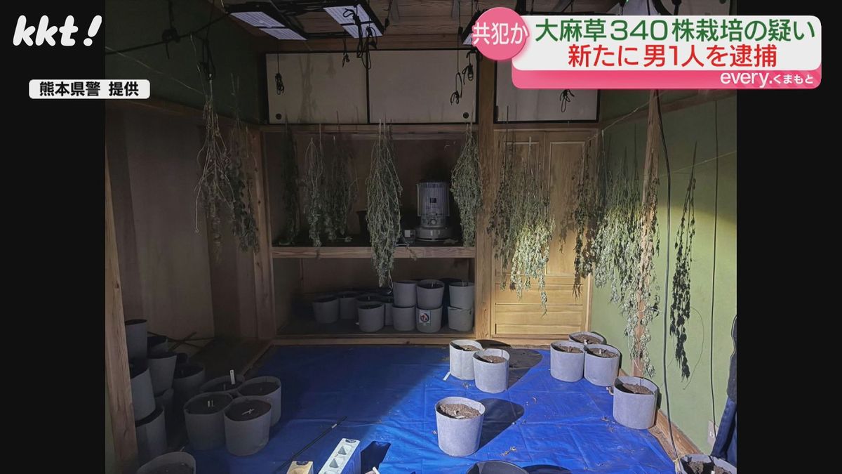 栽培していた部屋