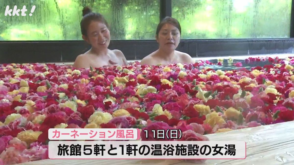 日奈久温泉（八代市）カーネーション風呂