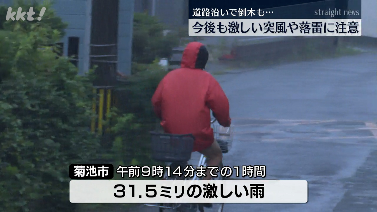 ～5月13日まで発送不可 今後も激しい突風や落雷に注意が必要 雨の影響か？倒木も（2025