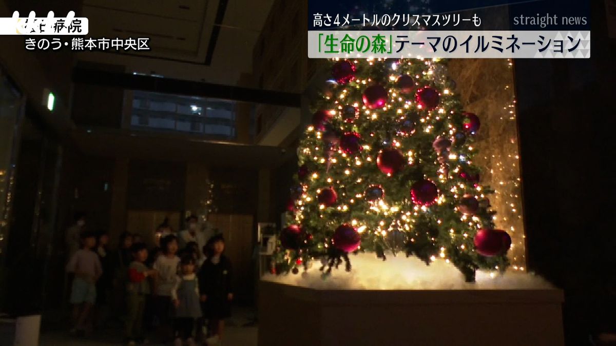 約4メートルのクリスマスツリー