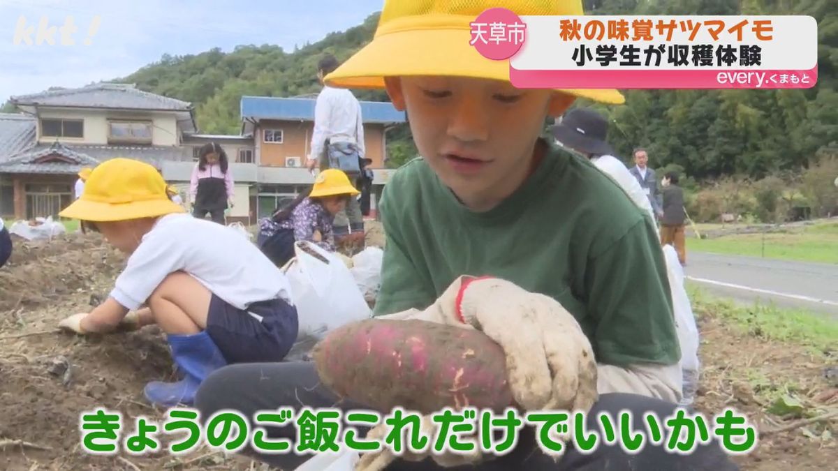 ｢きょうのご飯これだけでいい!?｣天草市の小学1年生が芋掘り体験