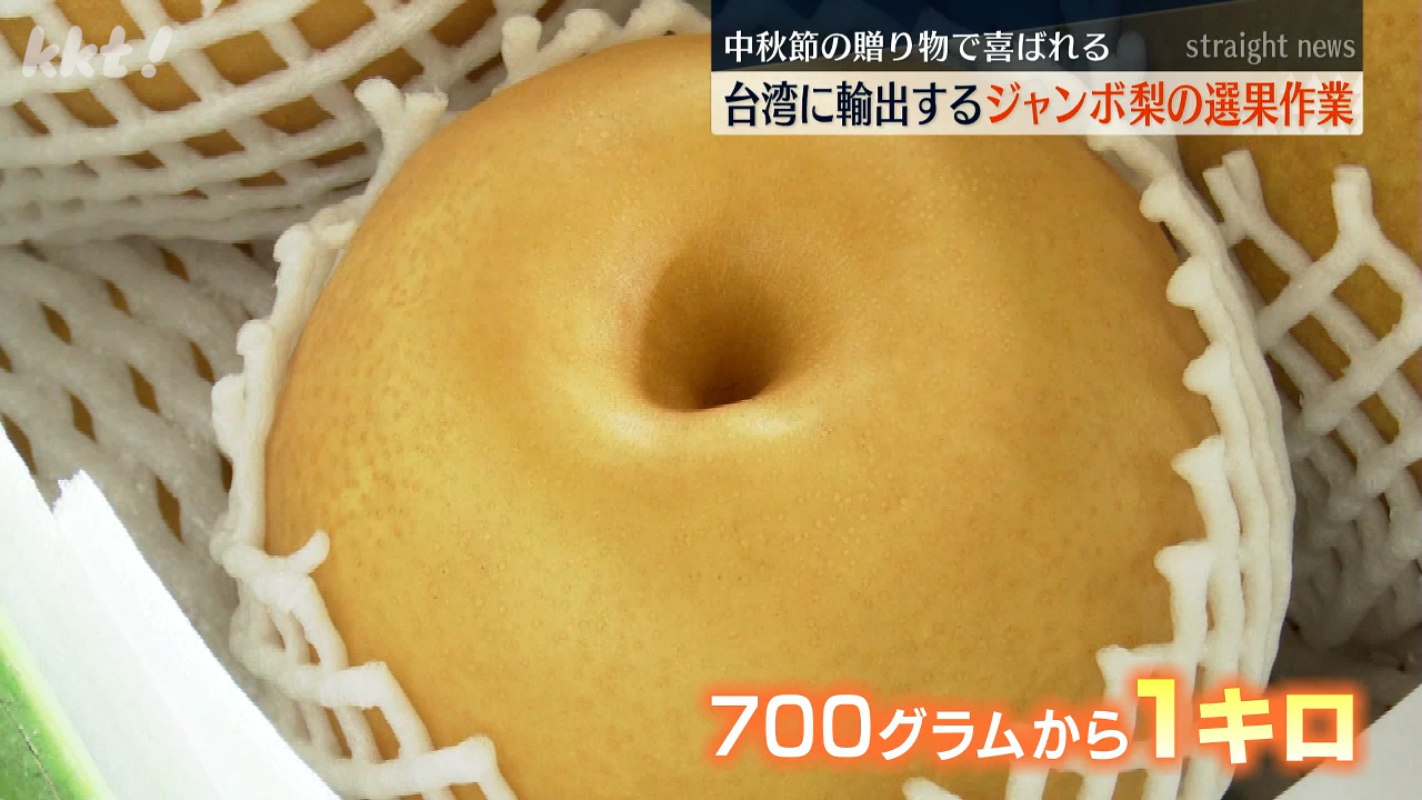 丸くて黄色い大きいもの