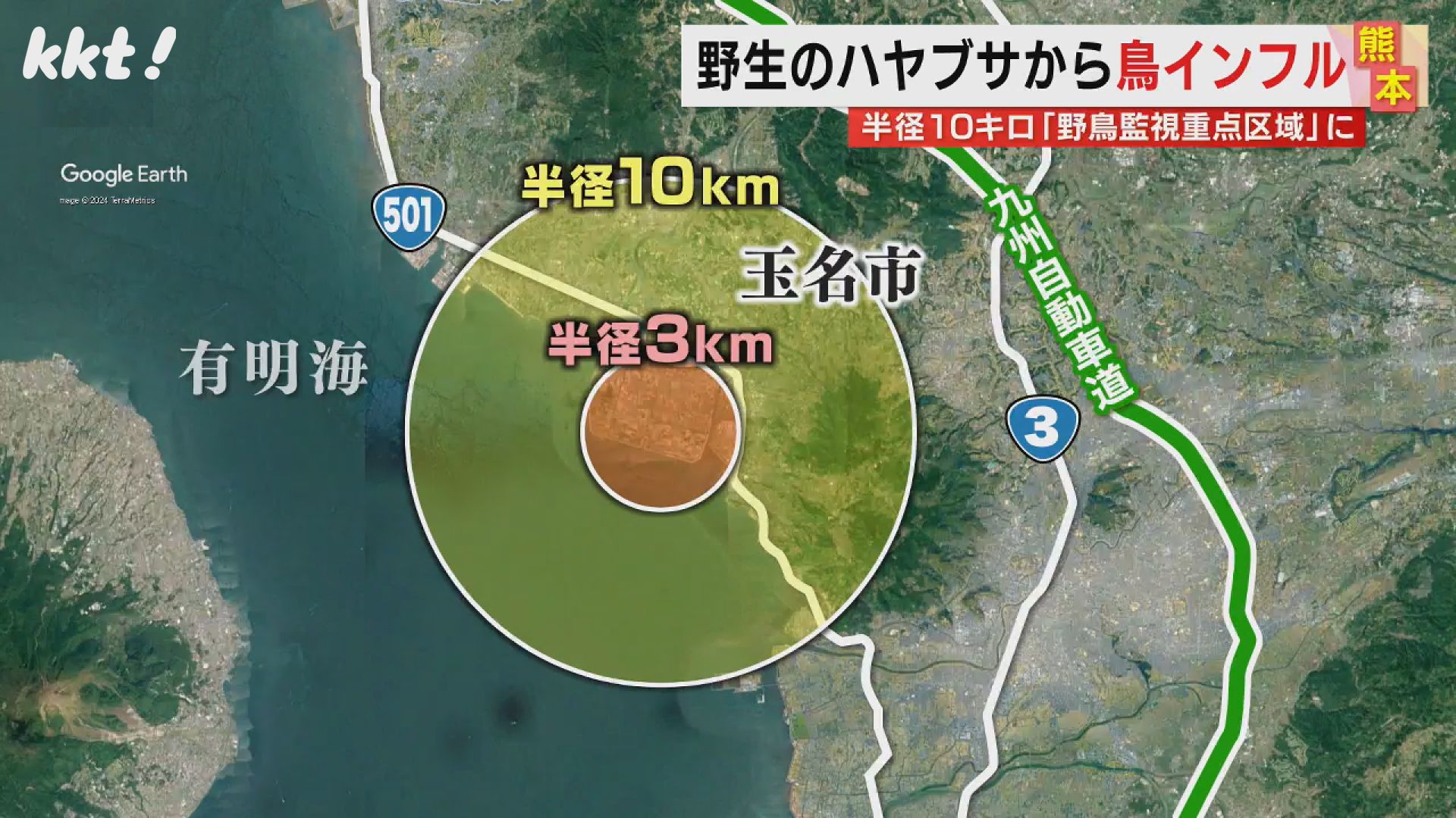 玉名市で野生のハヤブサから鳥インフルウイルス 高病原性かどうか判明