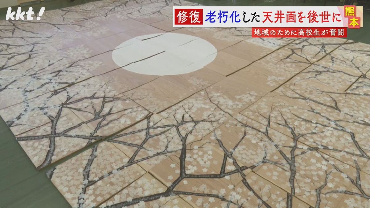 ｢優雅に咲かせ天井の桜｣ 歴史ある神社で高校生が天井画を修復