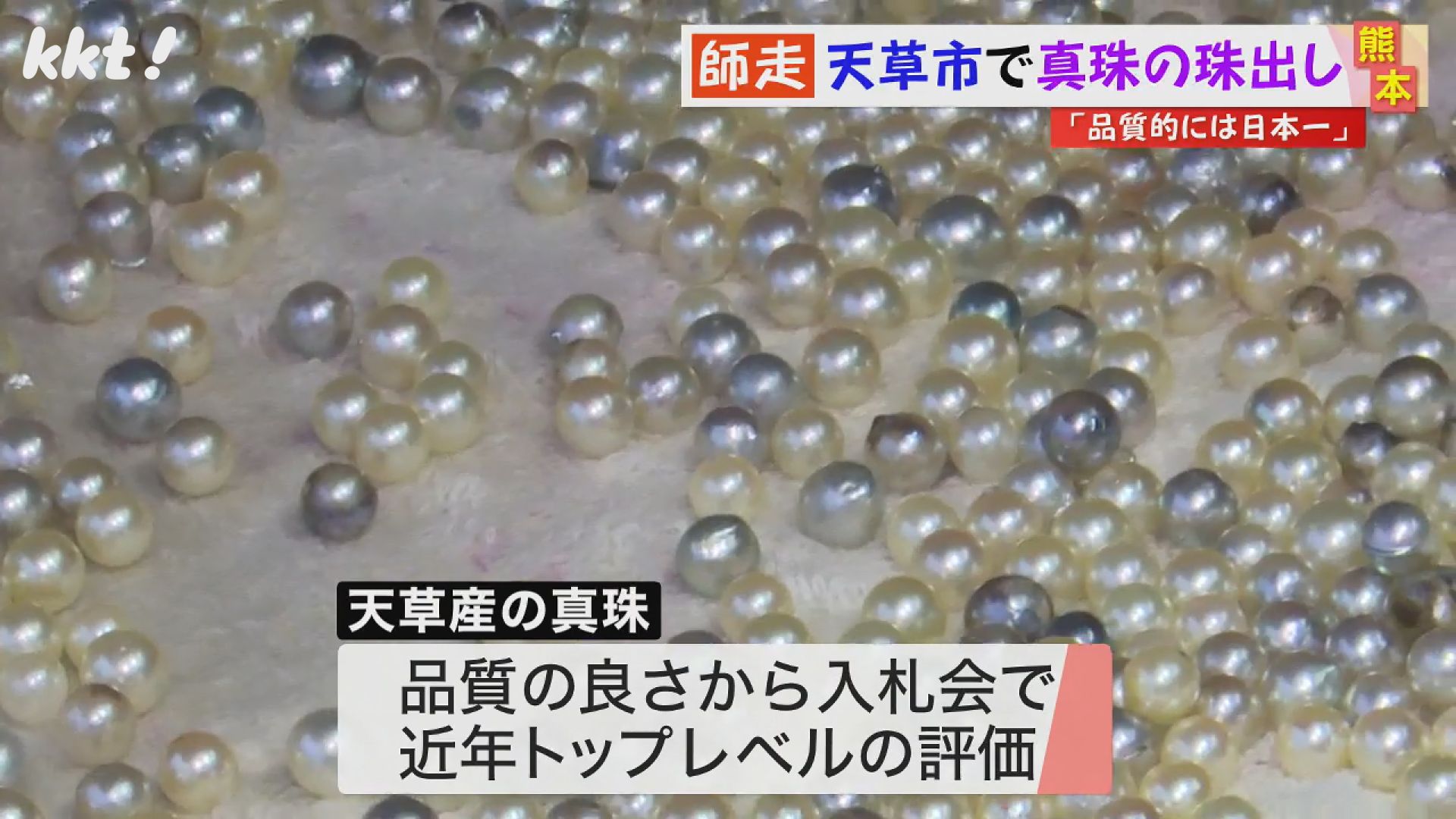 品質の評価高い真珠の選別と250年前から続く黒砂糖作り 天草の師走の