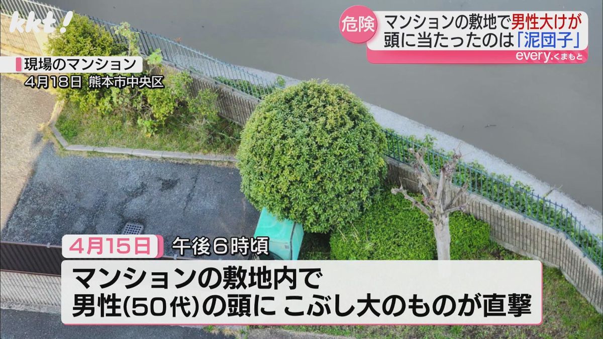 50代男性の頭にこぶし大のものが直撃